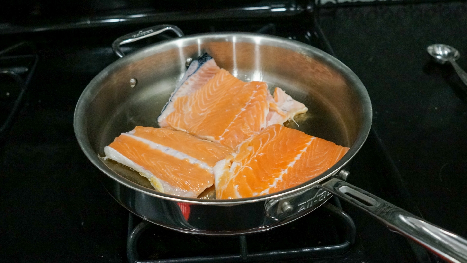 Salmon