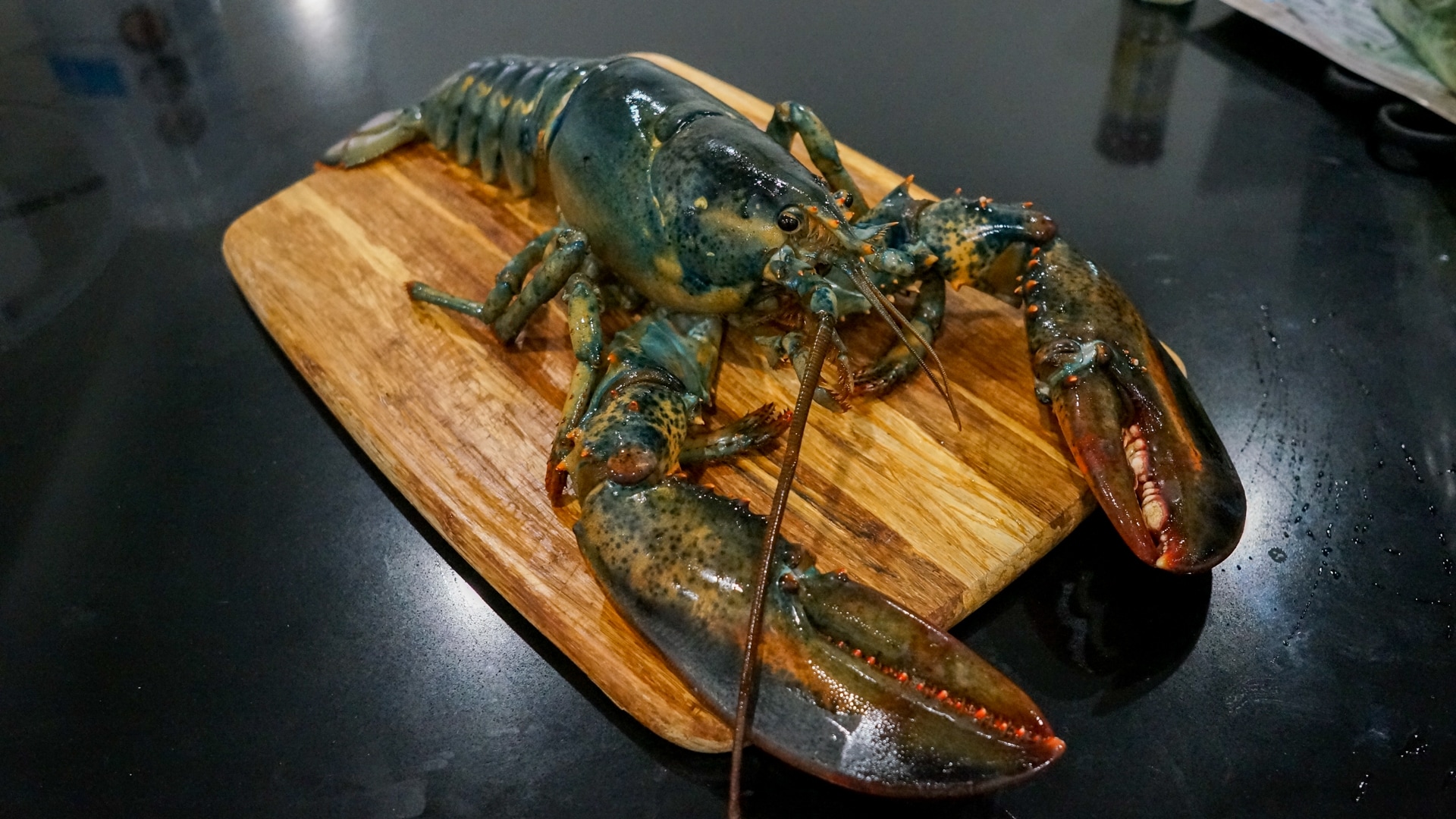 Lobster